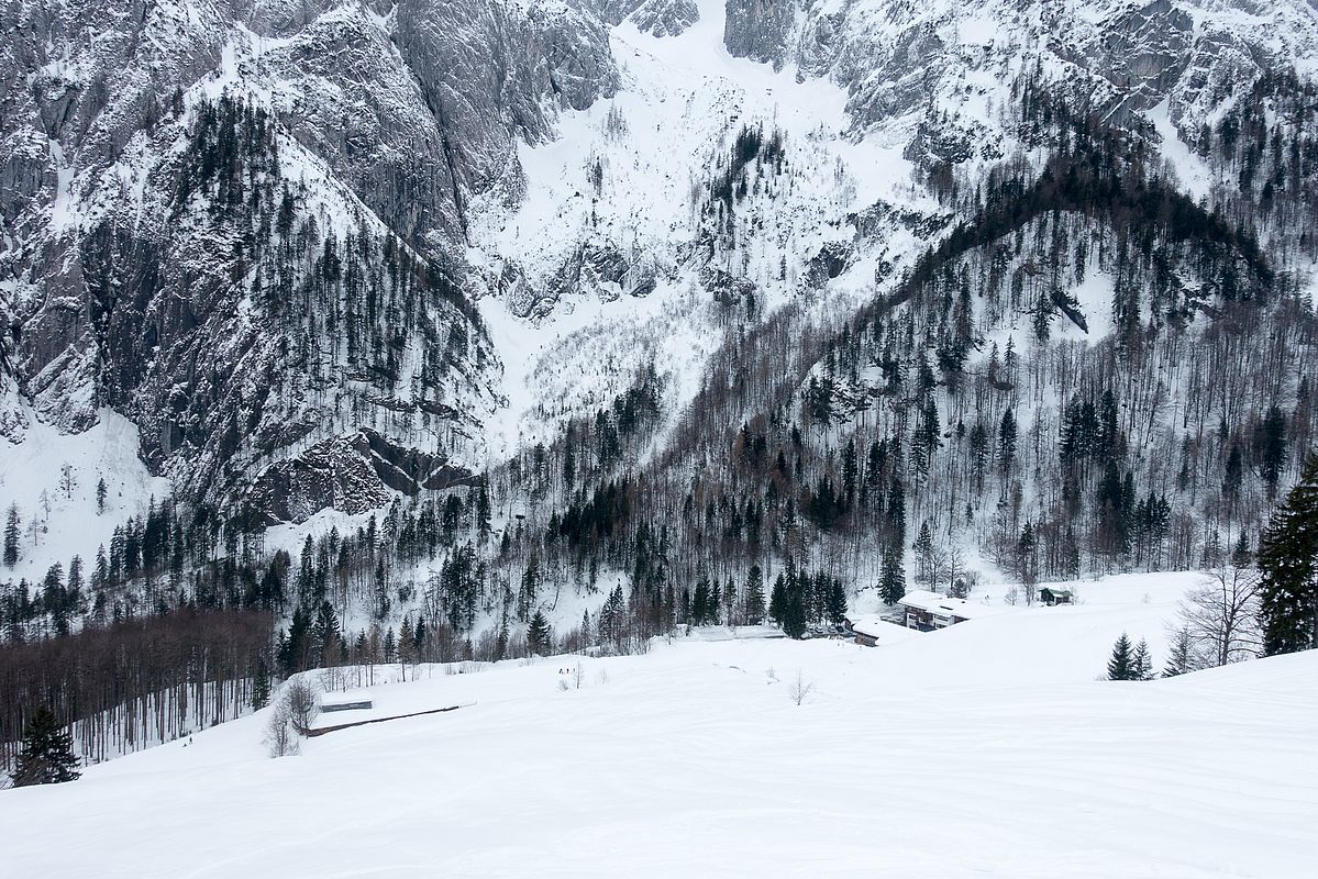 Tiefblick auf die Griesneralm