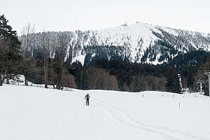 Kurz oberhalb von Grainbach