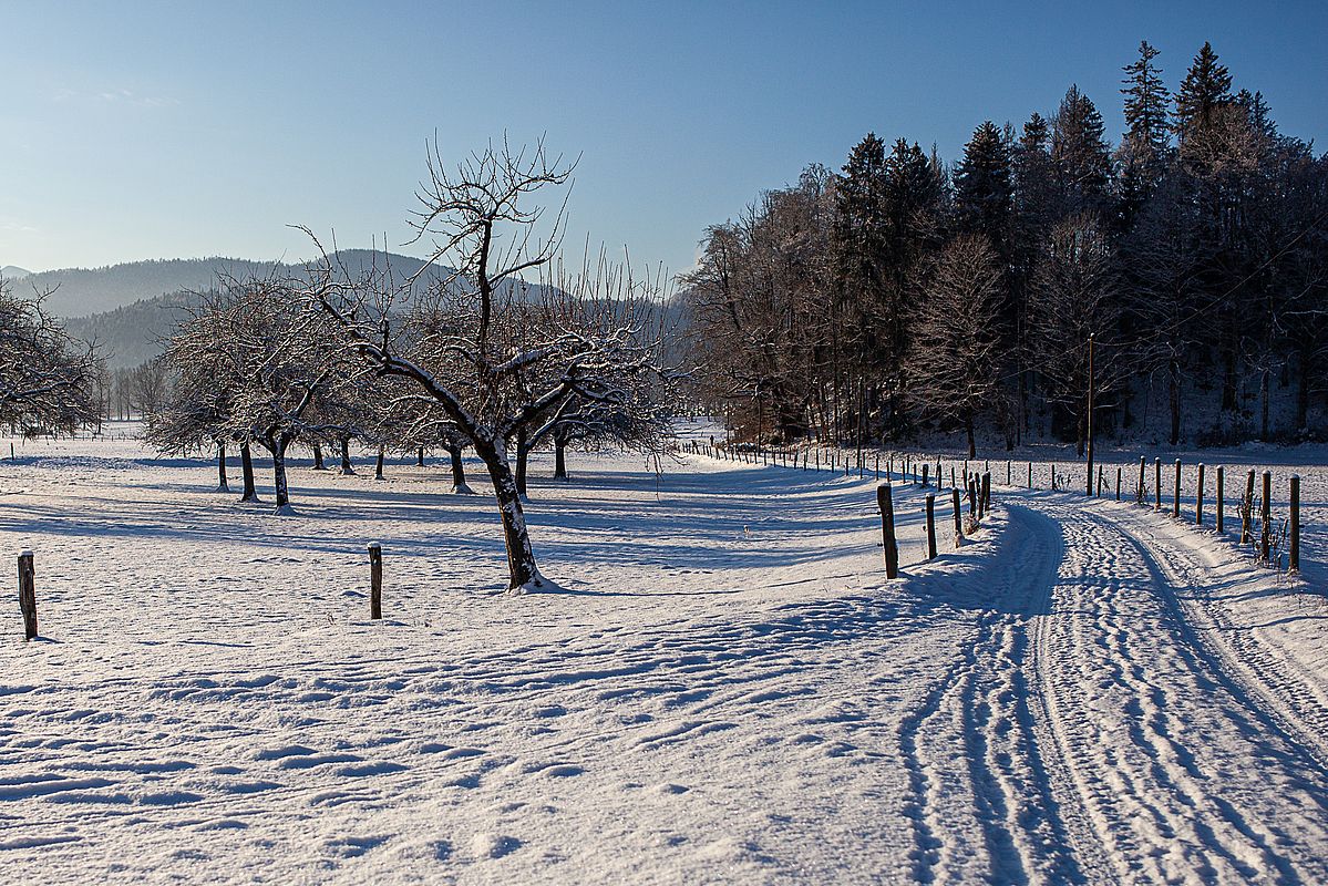 Skianlegeplatz im Weiler Schellenburg