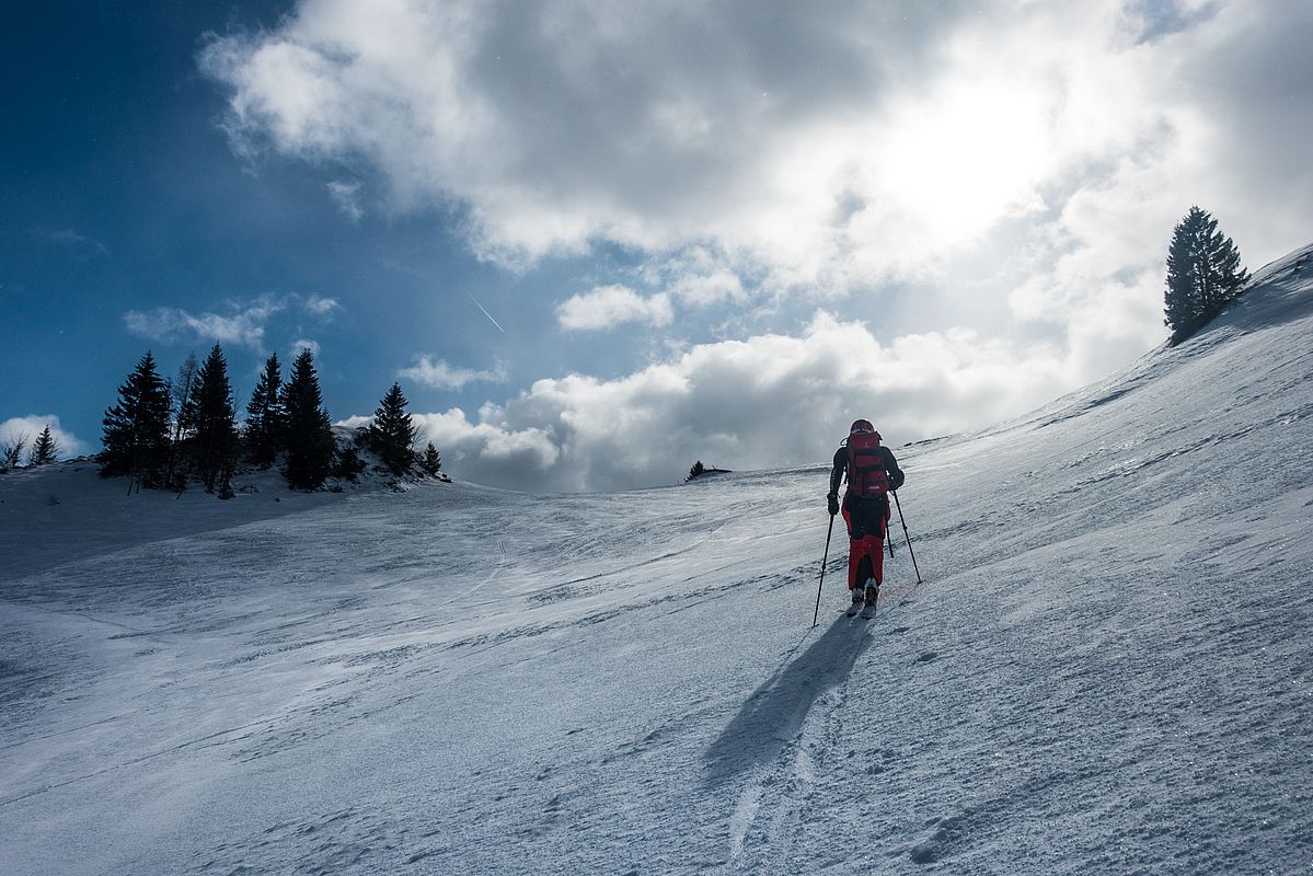 Wenige cm Pulverauflage im Aufstieg zur Wolfingeralm