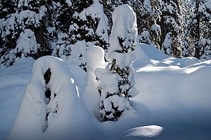 Tourenverhältnisse Hohe Tauern, Rauriser Tal