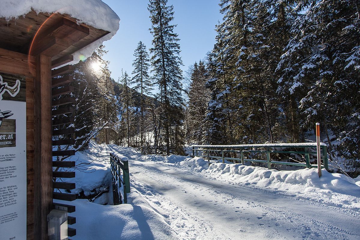 Skitour im Langen Grund