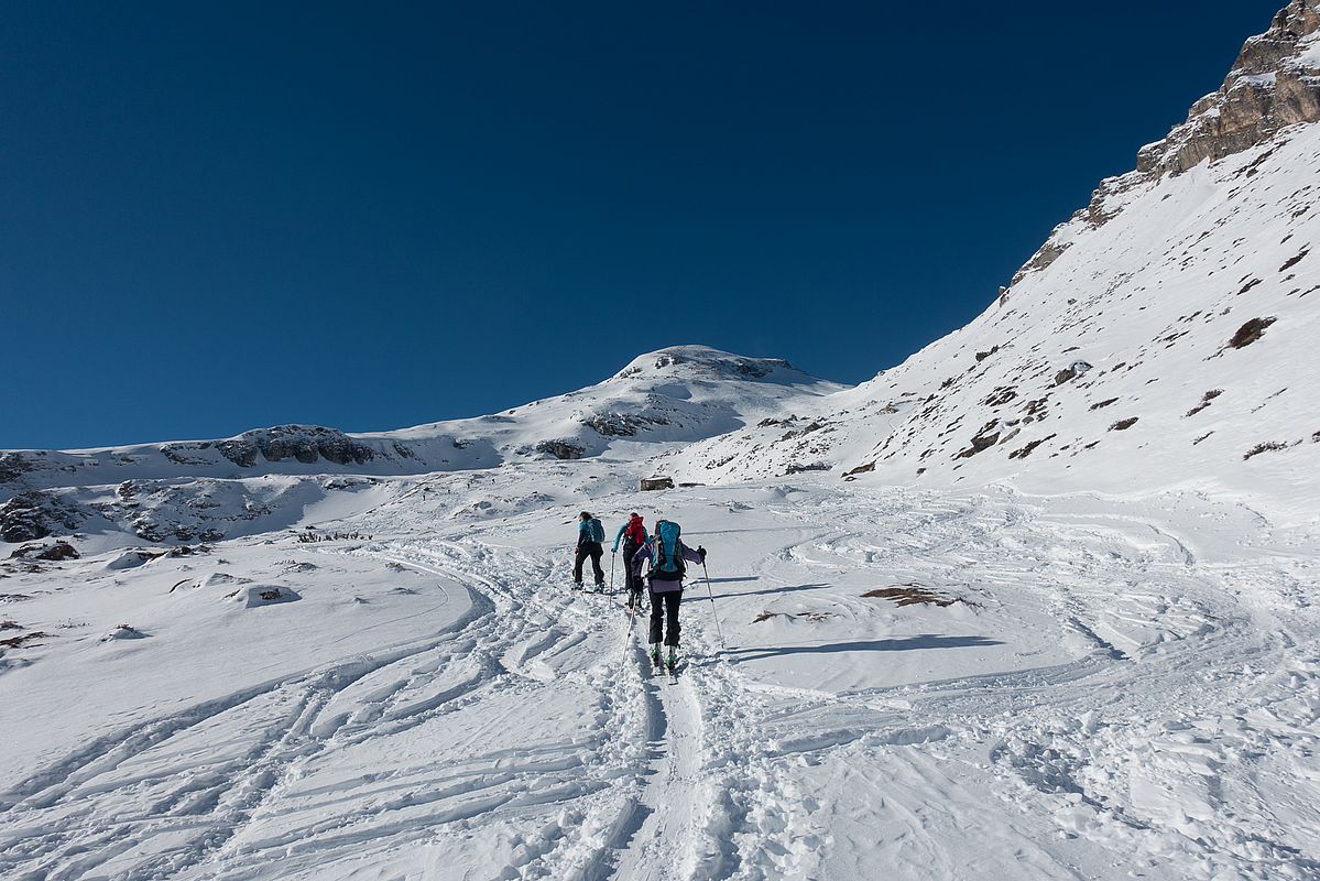 Naturslalom am Muttenkopf.