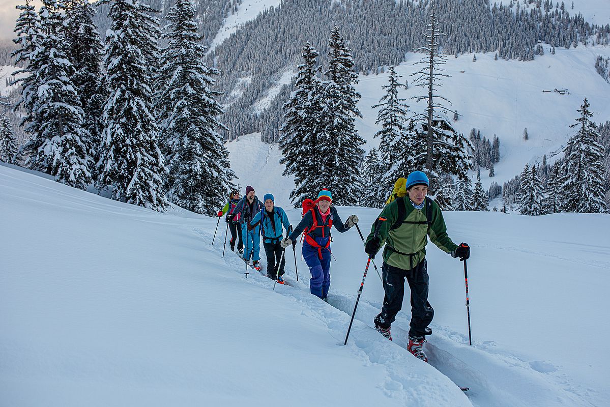 Knietiefer Pulverschnee an der Waldgrenze