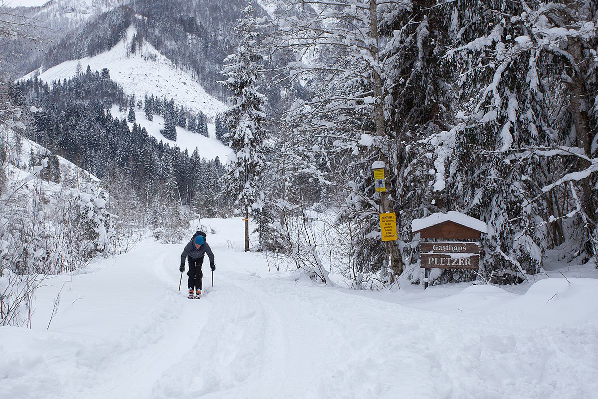 Kalter, stumpfer Schnee in Kombination mit alten, nicht gewachsten Steinski gibt im Pletzergraben ein formidables Oberarmtraining ab.