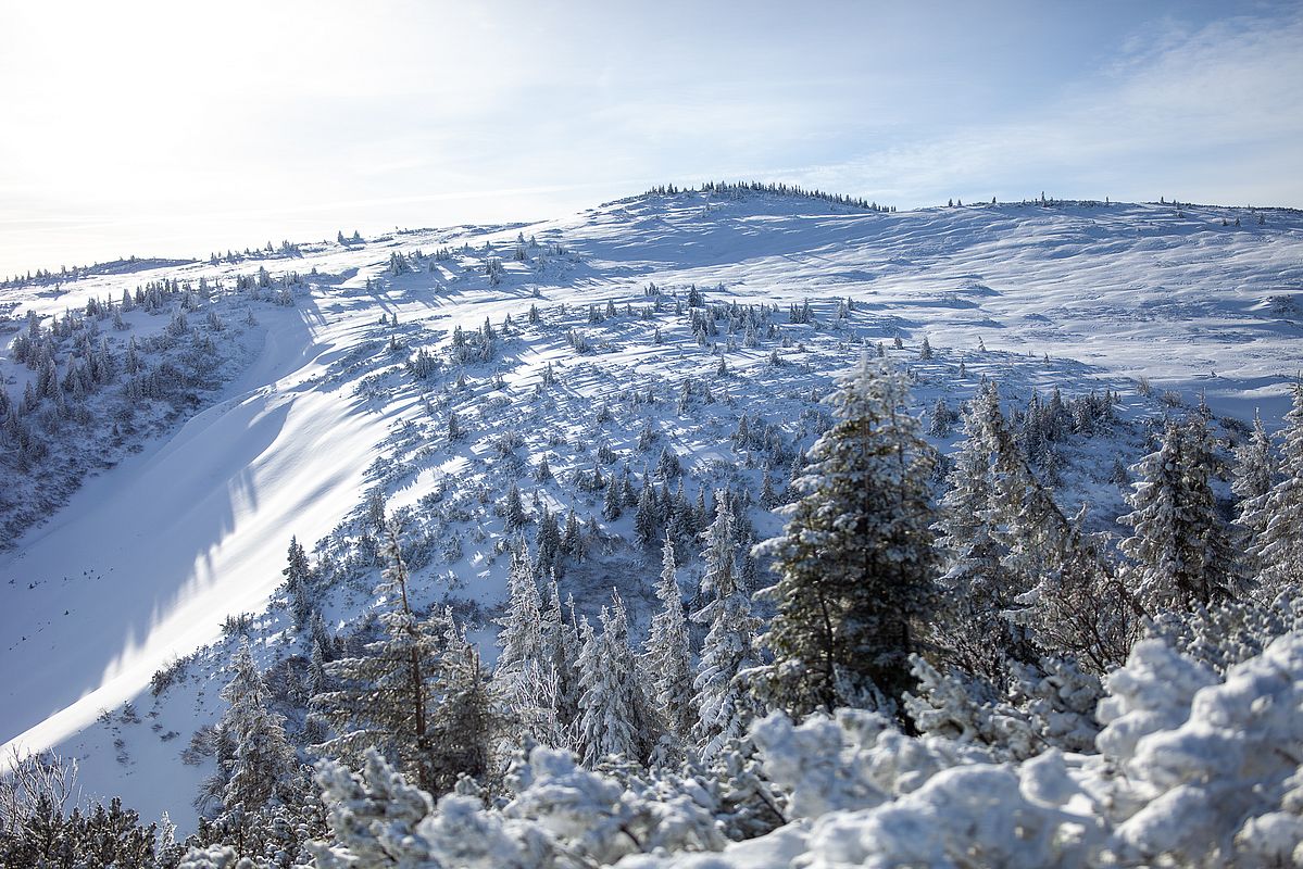 Blick zum Rossalmplateau