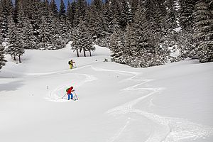 5-10 cm Pulverschnee auf harter Unterlage