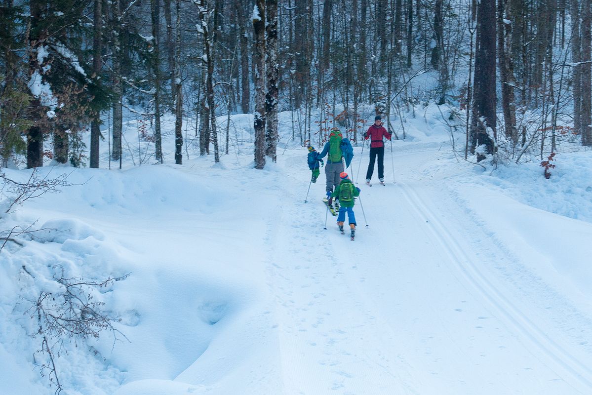 Wintermärchen beim Aufstieg entlang der Loipe zur Griesneralm.