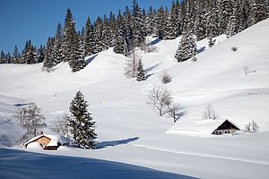 Viel Schnee an der Hinteren Dalsenalm auf ca. 1000 m