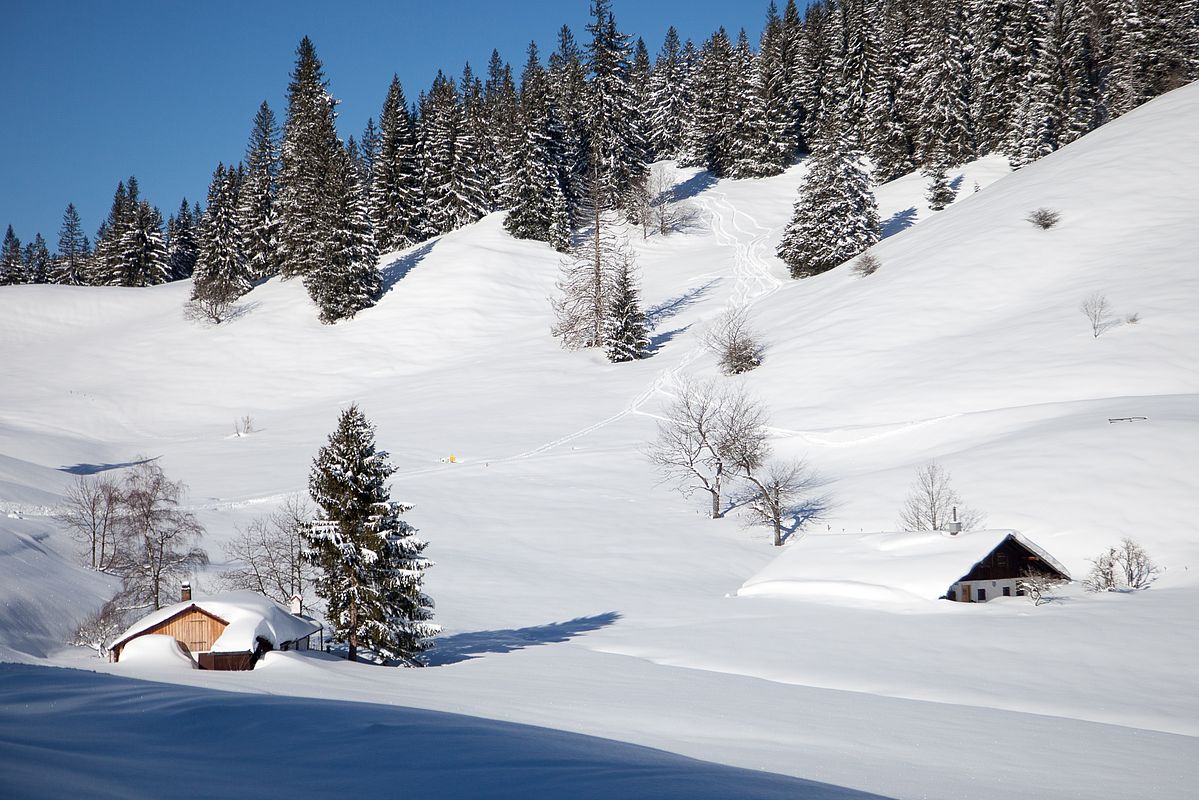 Viel Schnee an der Hinteren Dalsenalm auf ca. 1000 m