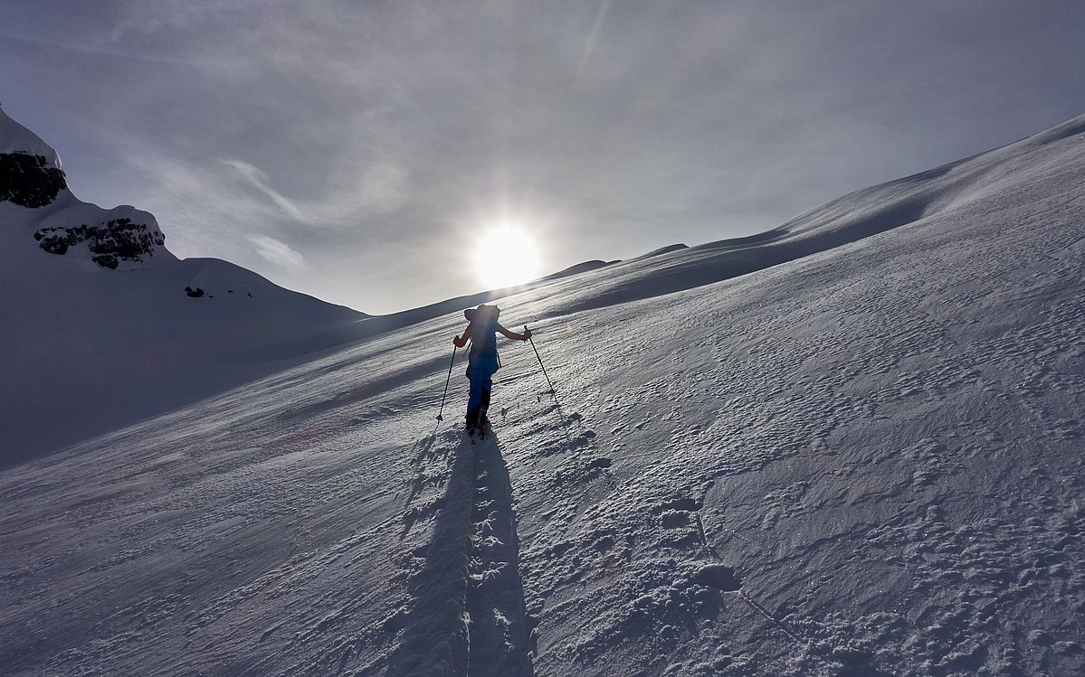 Der Sonne und dem Gipfel entgegen