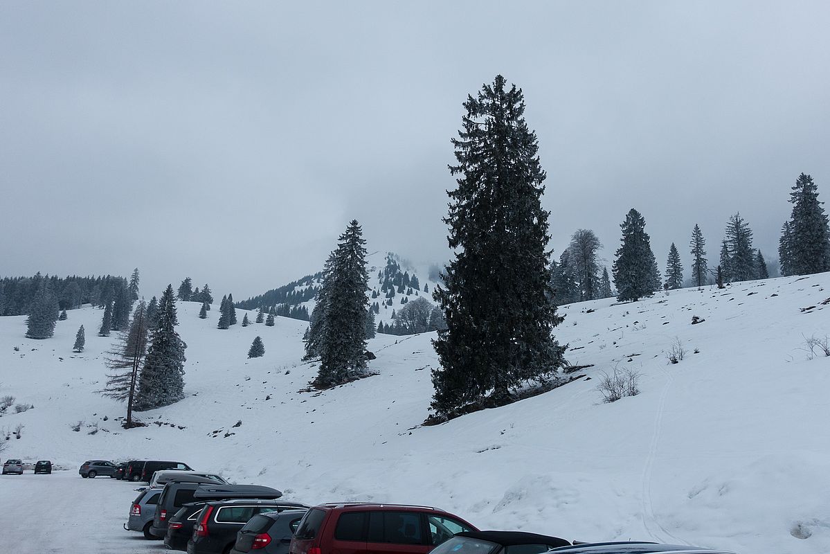 Der Südhang vom Parkplatz weg.