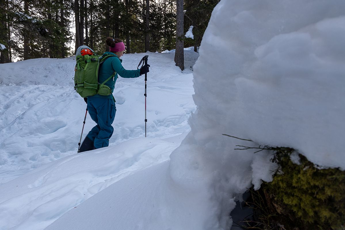 Im oberen Teil hats auch im Wald viel Schnee