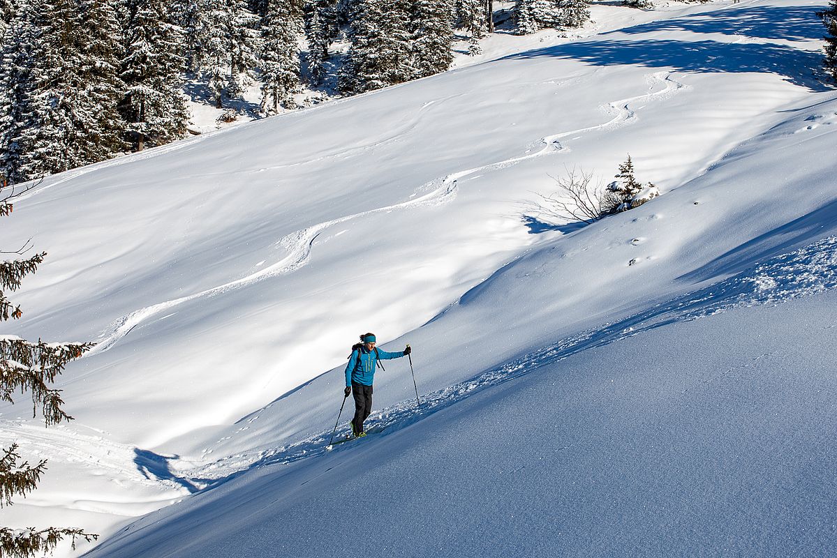 Ruhige Aufstiegsvariante im Bereich der Oberen Maxlrainer Alm.