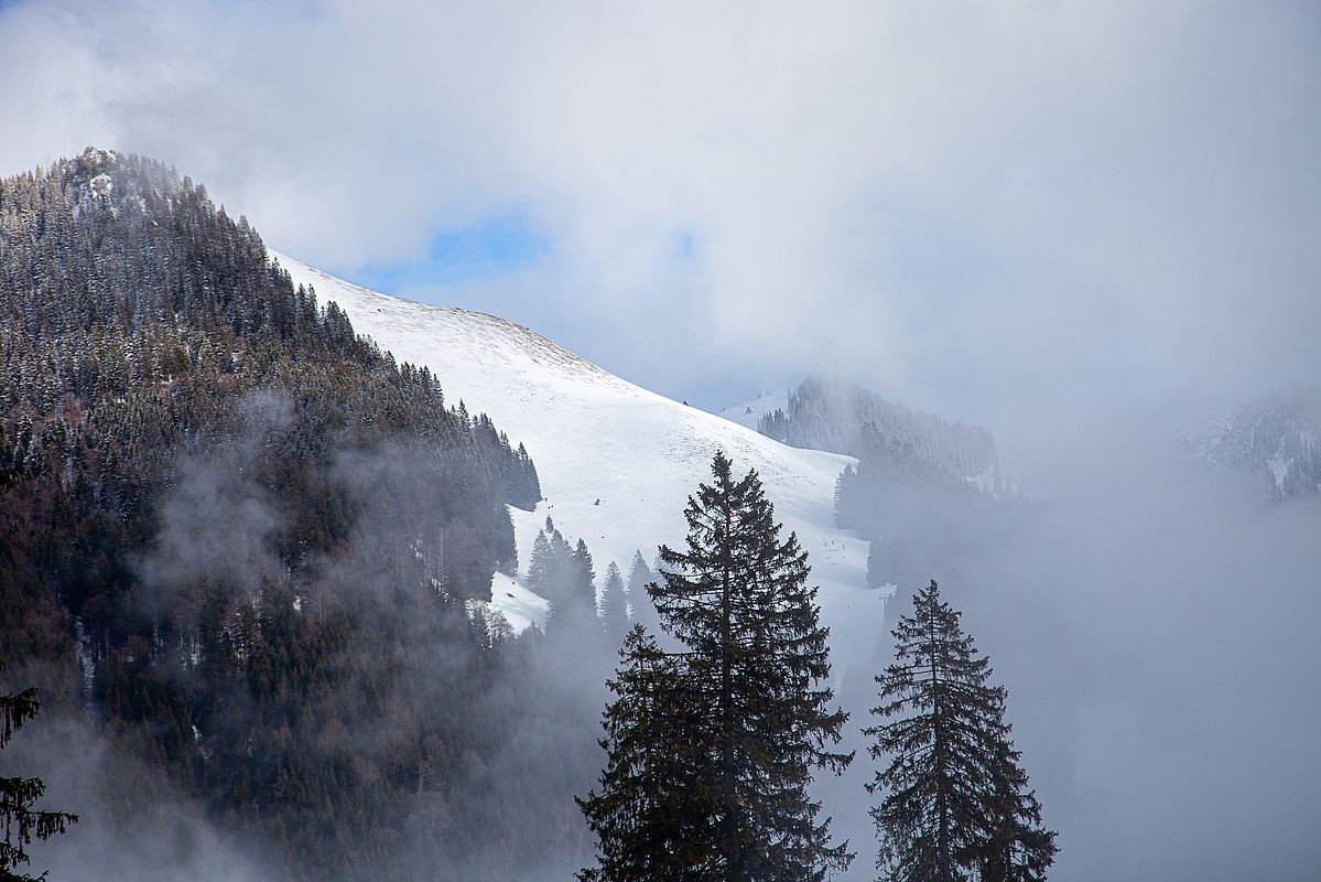 Blick durch den Nebel in Richtung Rauhkopf