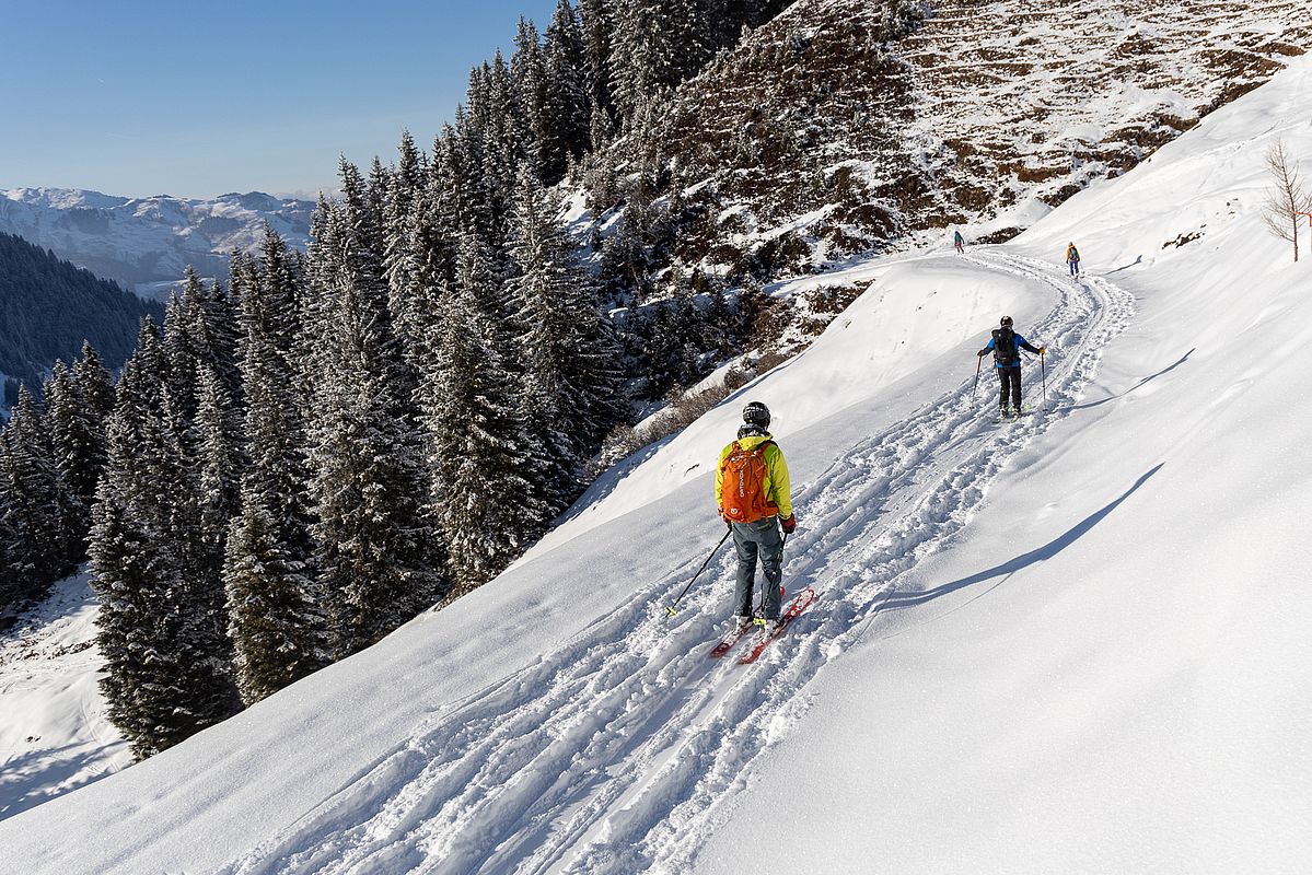 Ziehweg zurück in Richtung Bochumer Hütte