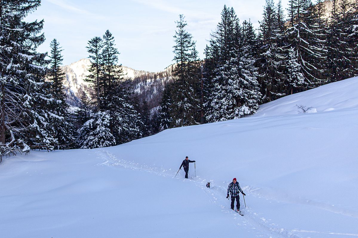 Die Wiesen der Dalsenalm sind erreicht