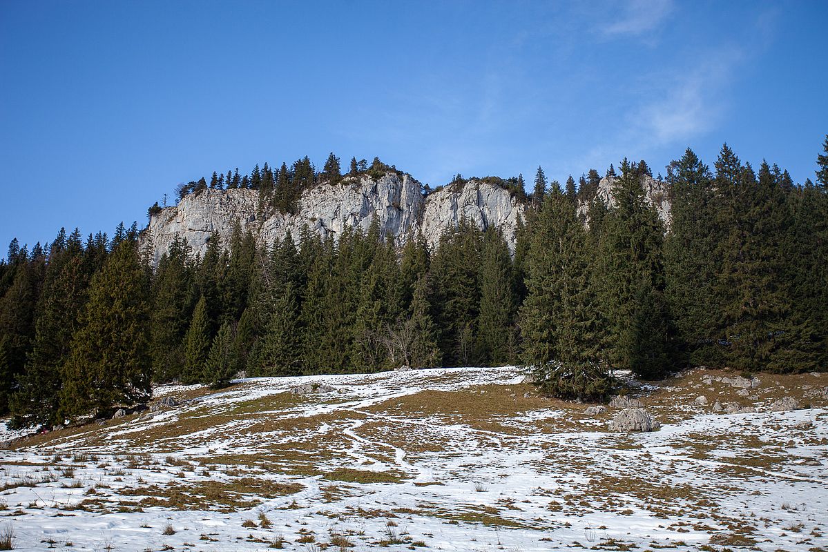 Trockene Felsen an der Krettenburg