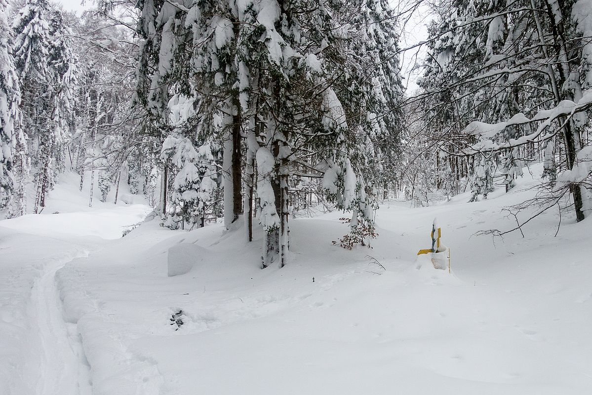 Etwa 1,5 m Schnee im unteren Dürnbachtal.