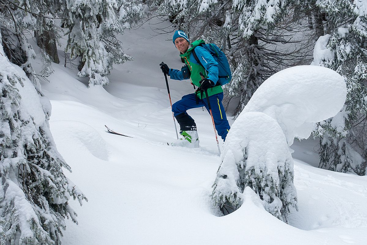 Über 30 cm Neuschnee in windarmen Bereichen kurz unter dem Kamm.