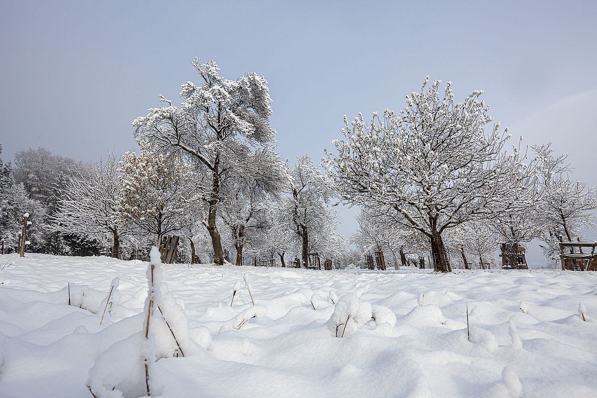 Winterzauber in St. Margarethen