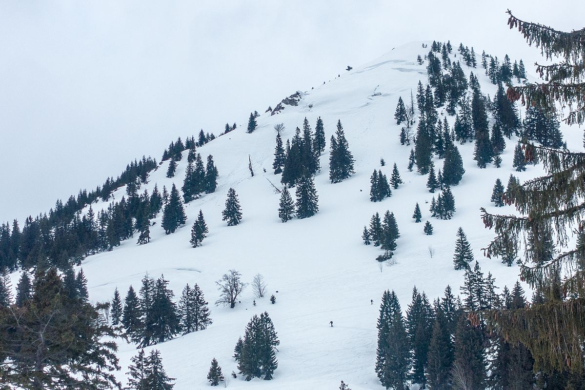 Aufstieg zur Lacherspitze mit dem Gleitschneepaket am Tagweidkopf