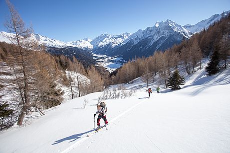 Am Weg zum Schlüsseljoch mit der Hammer-Kulisse des Pfitschertales im Hintergrund.