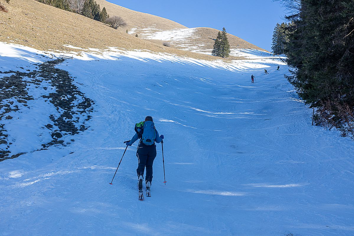 Typisches Bild für die Schneelage - Frühling in den Sonnenhängen, im Schatten kompakte Schneedecke