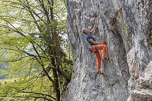 Das Dornröschen (8-/8) an der Schattenwand ist ein Zellerwand-Klassiker im mittleren Schwierigkeitsbereich