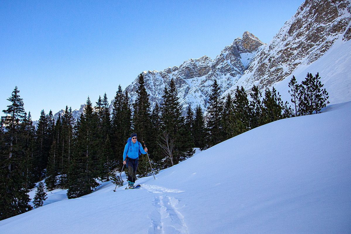 Schattseitig auf ca. 1600 m Bruchharsch