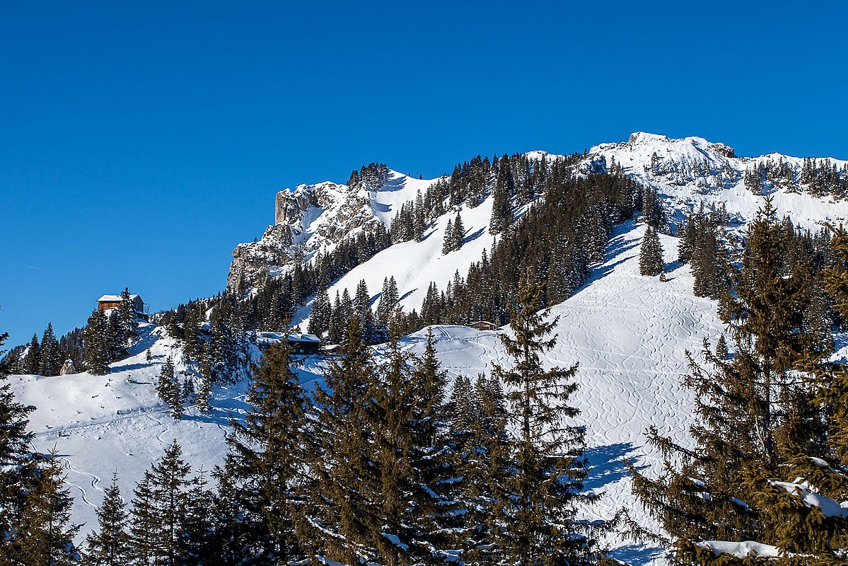 Blick von Osten auf die Pürschlinghäuser und den Teufelsstättkopf