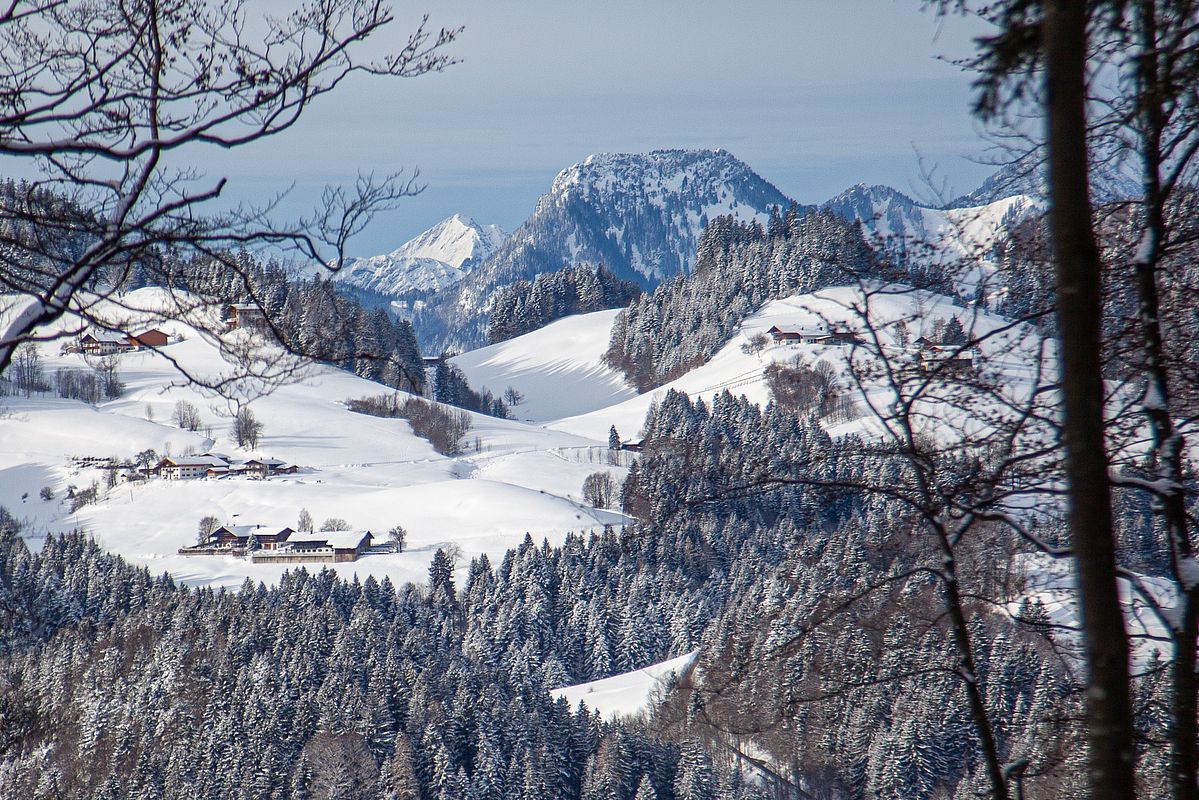 Blick zum Brünnstein