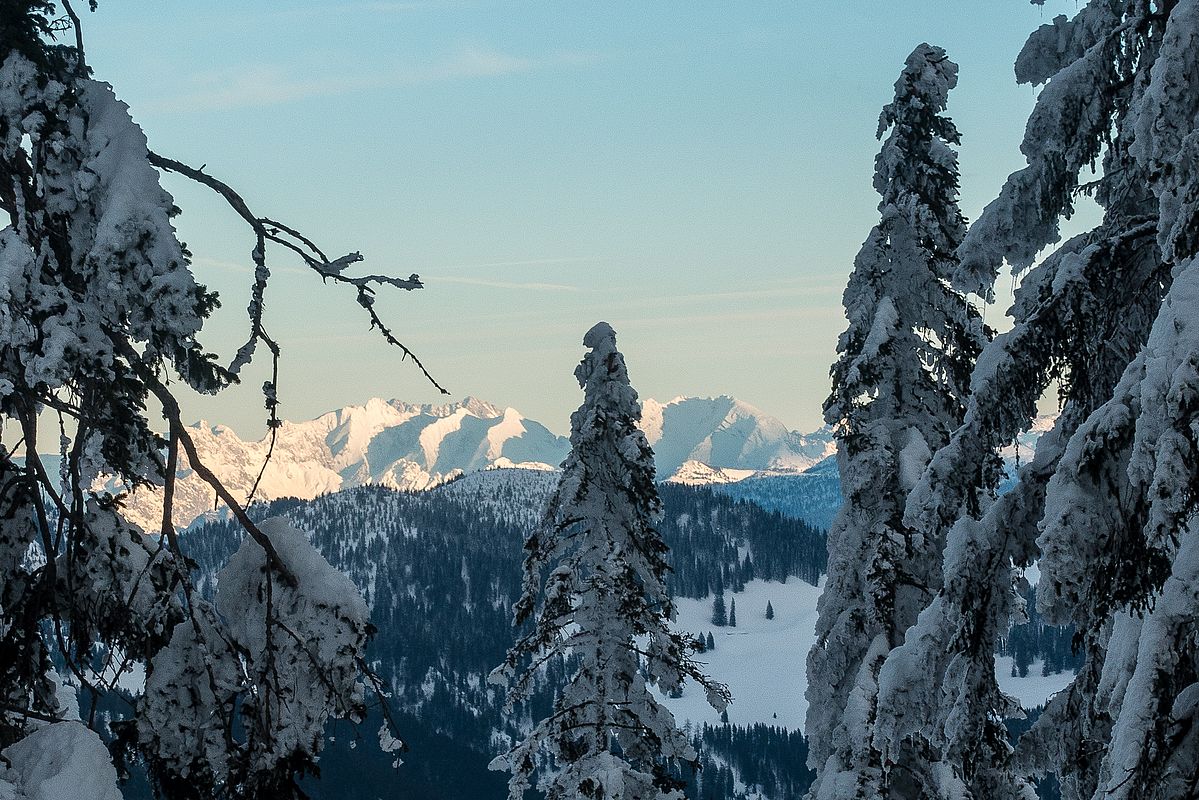 Tolles Abendlicht beim Blick in die Berchtesgadener Alpen 