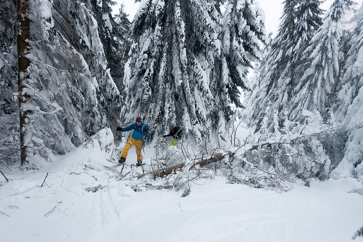 Der hat die Last nicht mehr ertragen - anhand der Skispuren lag er da am Vortag noch nicht.