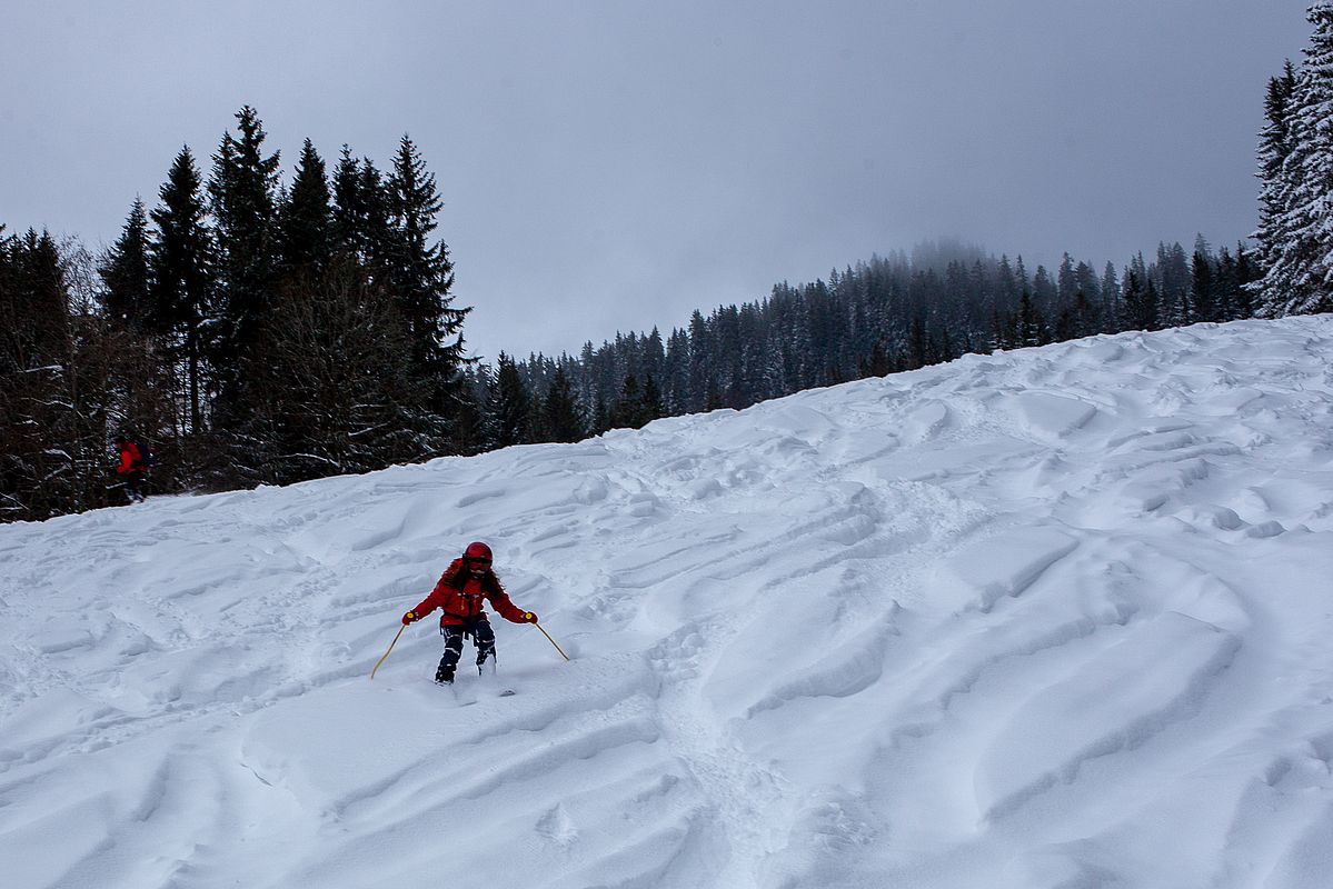 Recht verspurte Schneise hinab zum Kurvenliftparkplatz