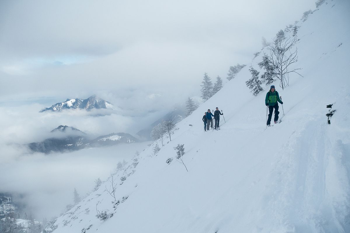 Aufstieg zum Steilnerjoch-Grat, sehr wenige Latschen schauen hier nur raus. 