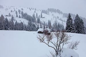 Nicht allzu üppige Schneelage an der Rosengasse - vor allem die Sonnenhänge gegenüber schauen sehr steinig aus.