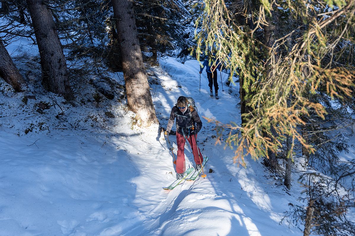 Der Waldgürtel ist dann nochmal etwas hakelig - teilweise haben wir die Ski getragen