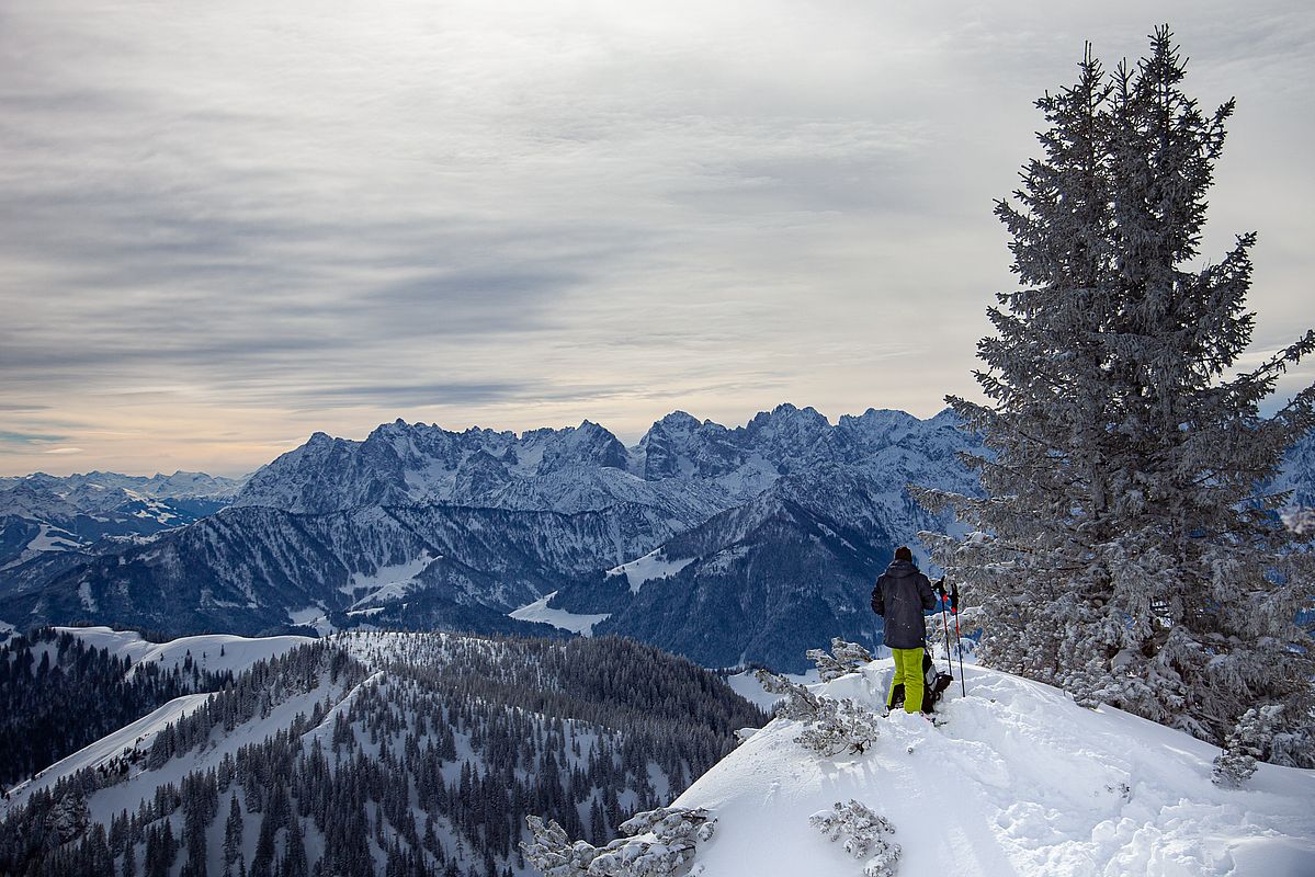 Gipfelblick