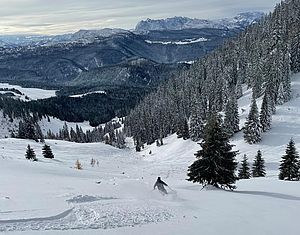 Pulverschnee am Dürnbachhorn