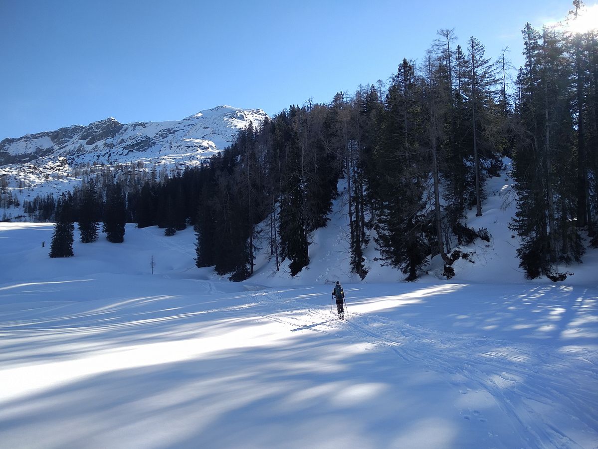 In der Mulde bei der Kallbrunnalm