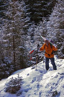 Es geht doch nichts über einen gscheiten Wald 6er