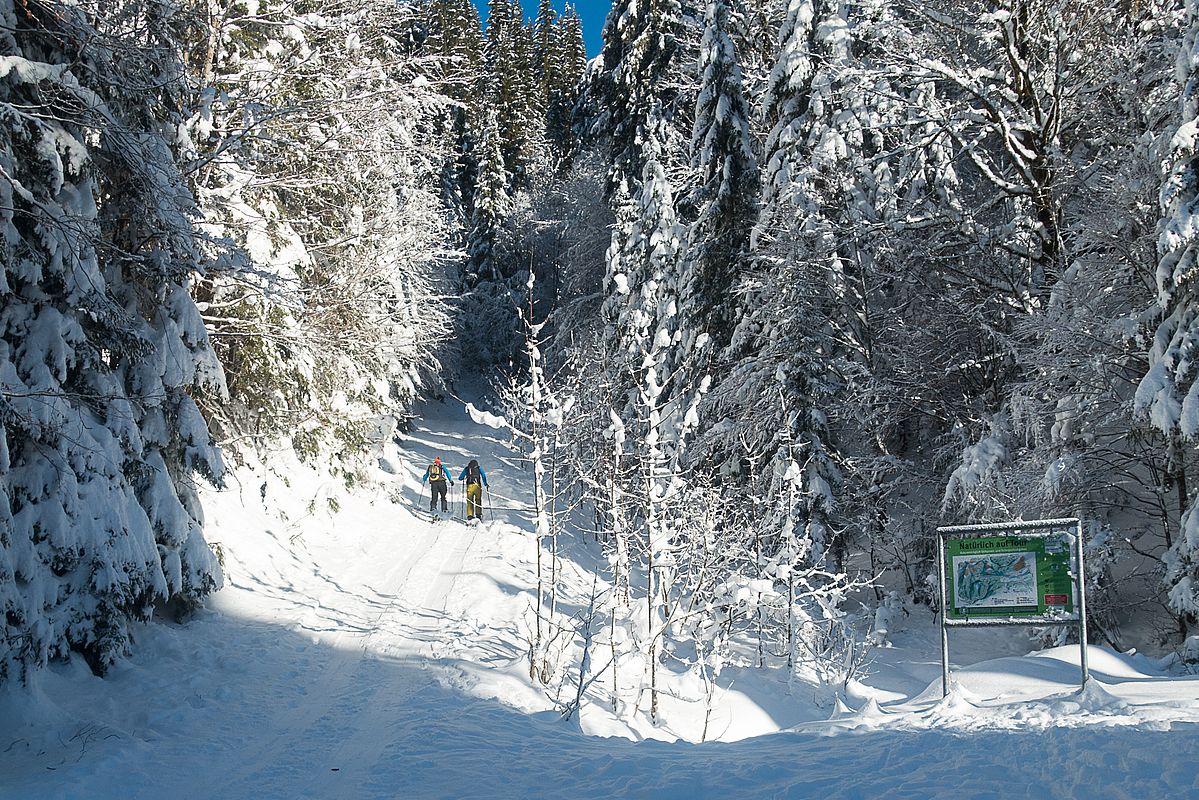 Abzweigung von der Loipe