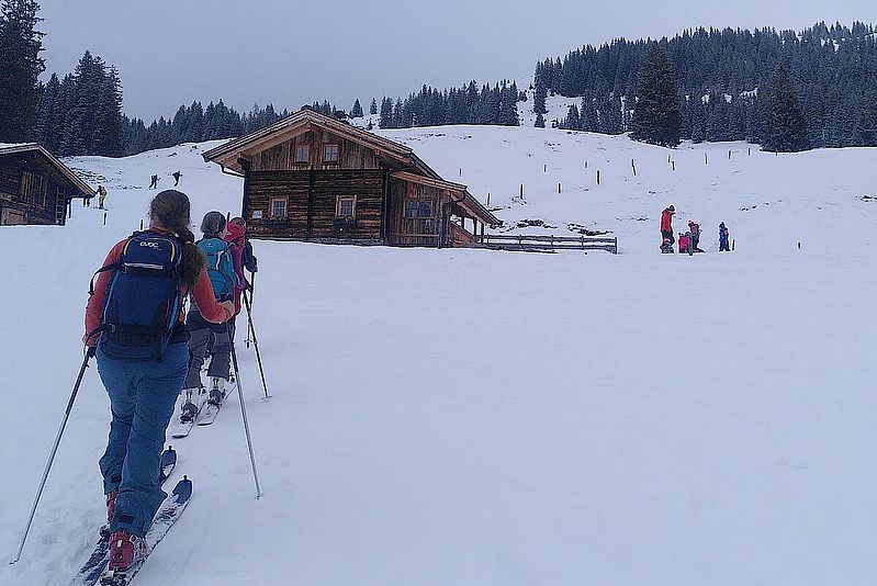 Skitour Feldalphorn, Kitzbüheler Alpen