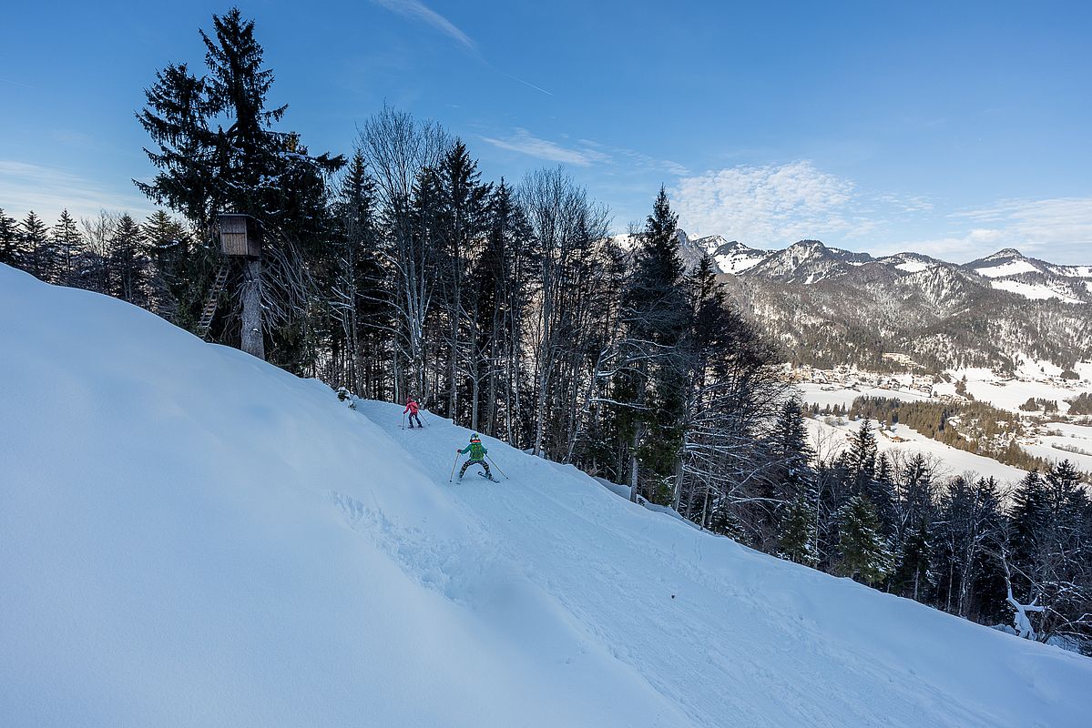 Auf der Rodelbahn geht es dann flott zurück zum Ausgangspunkt.