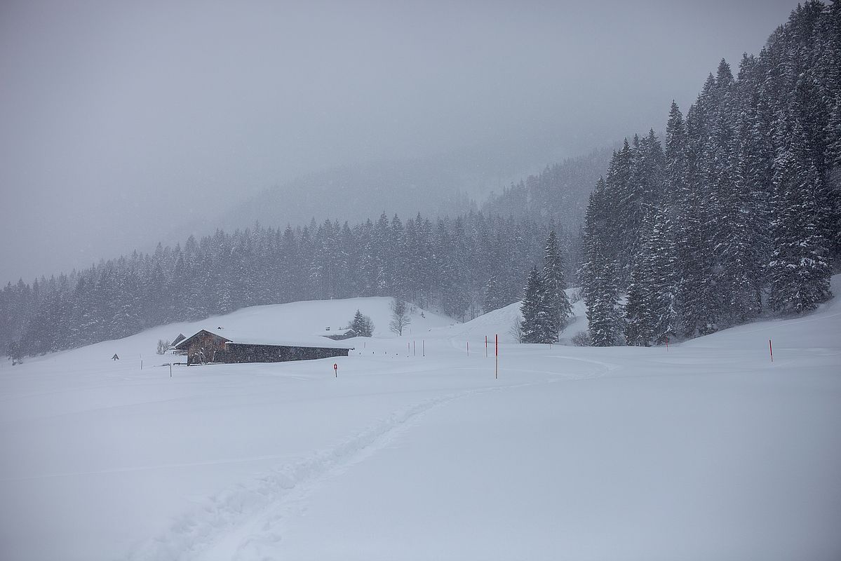 Nach mittag immer noch Schneefall - hier an den Valepper Almen