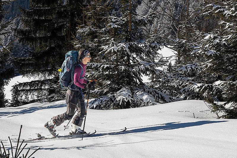 Etwas Neuschnee dann ab der Hälfte der Tour