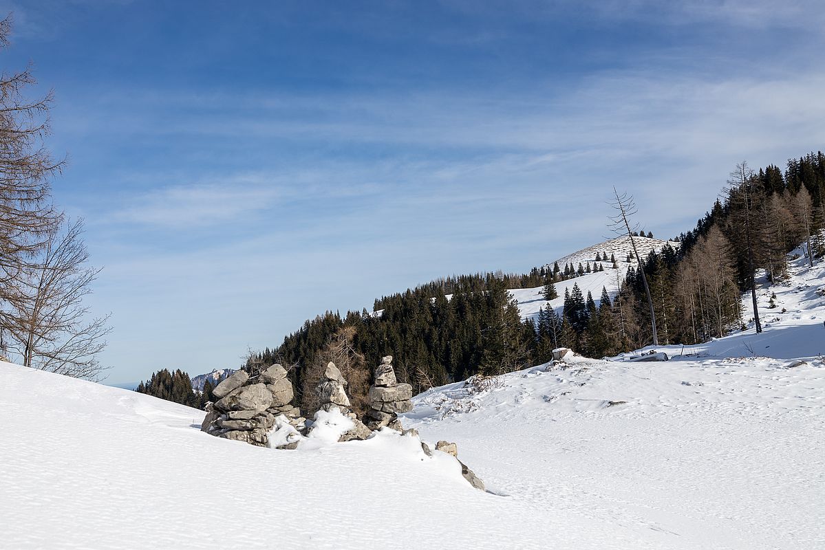 Am Sattel zwischen Seeonalm und Baumoosalm mit Blick zur abgeblasenen Brünnsteinschanze