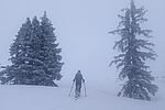 Skitour Feldalphorn, Kitzbüheler Alpen