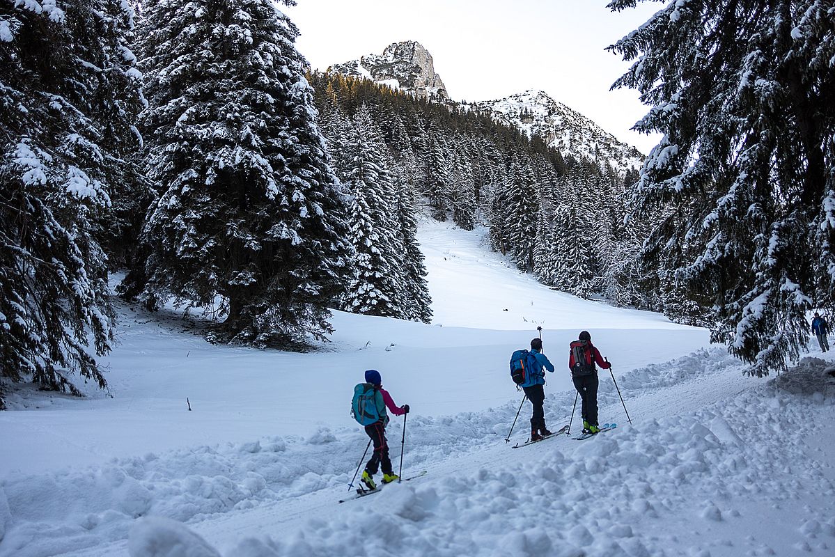 Kurz vor der Buchsteinhütte kommt man endlich aus dem Wald